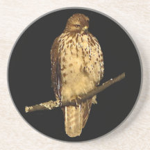 Red Tailed Hawk Coaster