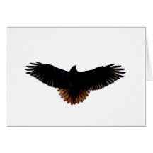Red-tailed Hawk Greeting Card