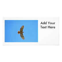 Red-Tailed Hawk in Flight Customized Photo Card