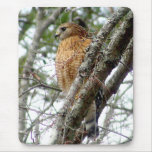 Red Tailed Hawk Mousepad 2