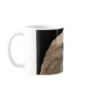 Red tailed hawk mugs
