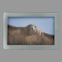 Red-tailed Hawk photo belt buckle belt buckles