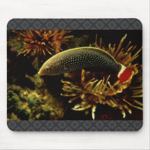 Red-tailed Wrasse Mousepads