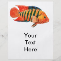 Red Terror Cichlid Fish Flyer