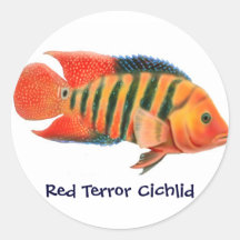 Red Terror Cichlid Sticker