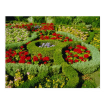 Red The Knot Garden, New Place, Stratford-on-Avon, postcards