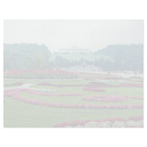 Red The Shonbrunn Castle, Vienna, Austria flowers Letterhead