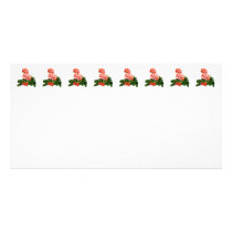 Red Tipped Pink Geraniums Photo Card Template