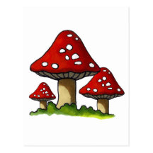 Red Toadtstools, Mushroom: Freehand Art Postcard