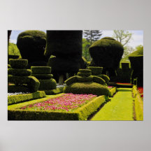Red Topiary garden, Levens Hall, Cumbria, England Posters