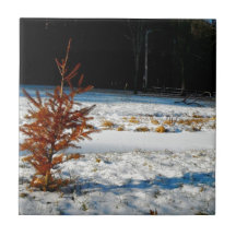 Red Tree in Snow Ceramic Tile
