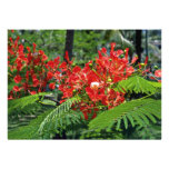 Red Tropical Flowers flowers Invite