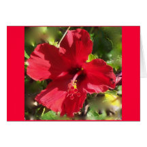 Red Tropical Hibiscus Greeting Cards