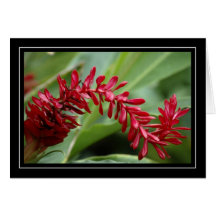 Red Tropical Plant Blank Card