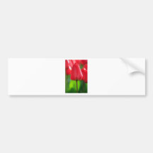 Red Tulip