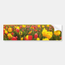 Red Tulip field in Oregon flowers Bumper Stickers
