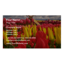 Red Tulip field, Oregon flowers Business Card Template