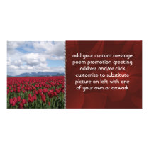 Red Tulip Field Picture Card
