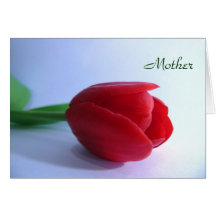 Red Tulip Mother's Day Card