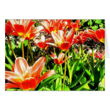 red tulip mother's day card
