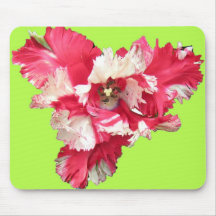 red tulip mouse pads