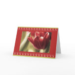 Red Tulip photograph, Red Detailed Frame, template Card
