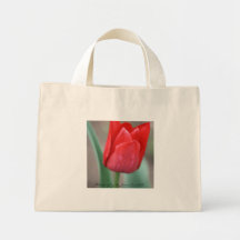 red tulip, Photography By Jamie Sue Hill Canvas Bags