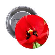 Red Tulip Pins