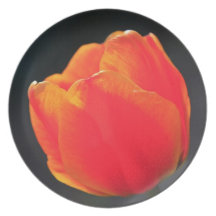 Red tulip plate