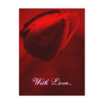 Red Tulip Postcard