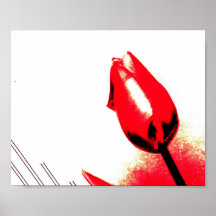 Red Tulip Posters