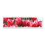 Red Tulips Bumper Stickers