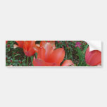 Red Tulips Bumper Sticker
