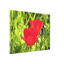 Red Tulips Canvas Print canvas prints
