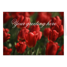 Red Tulips Card