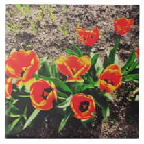 Red tulips tiles