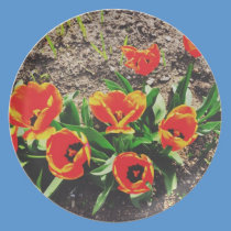 Red tulips plates