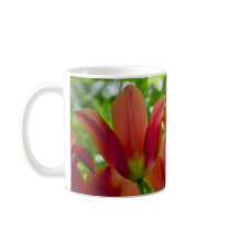 Red Tulips DSC0875 Mug