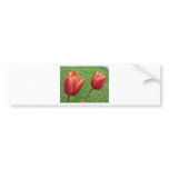 Red Tulips Flower Bumper Stickers