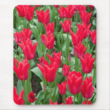 Red tulips mousepad