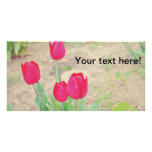 Red tulips personalized photo card