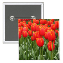 Red Tulips Pinback Button