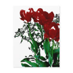 Red Tulips Post Cards