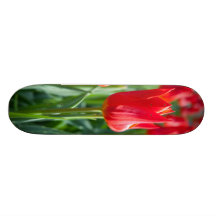 Red Tulips Skateboard Deck