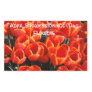 Red Tulips Sticker