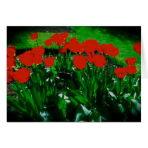 Red Tulips Valentine's Card