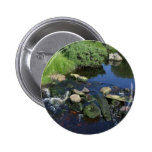 Red Water In A Stream Near Malin More Pinback Buttons