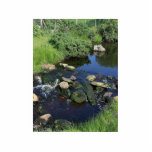 Red Water In A Stream Near Malin More Cut Out