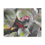 Red Wax Begonia postcards