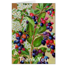 Red White and Blue Floral Thank You Cards